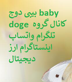 بیبی دوج baby doge کانال گروه تلگرام واتساپ اینستاگرام ارز دیجیتال