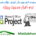 Microsoft Project MSP Free Download Videos Farsi