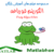 Frog Algorithm Free Download Farsi Videos in Matlab